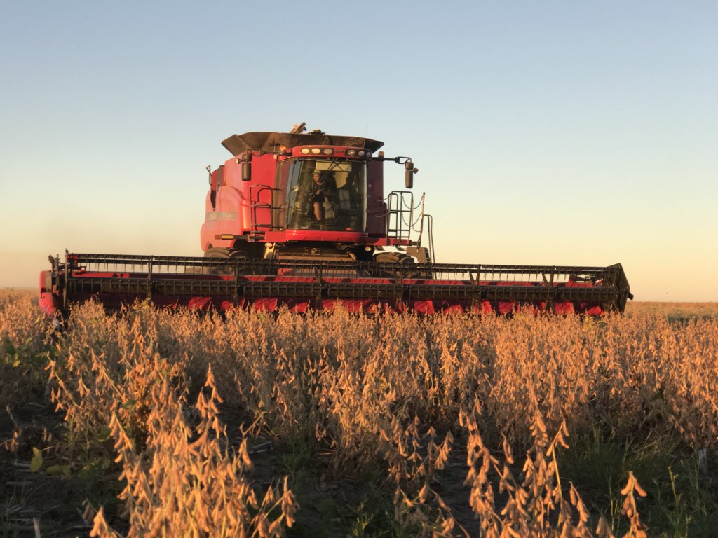 lhclaassen's tweet photo. #harvest2018 started at #lhcgroup farms. May every farmer in South Africa have a blessed #harvest time. Stay save and thank the Lord for the privilege to farm on the Land he gave us. https://t.co/uuUQHvJMhX