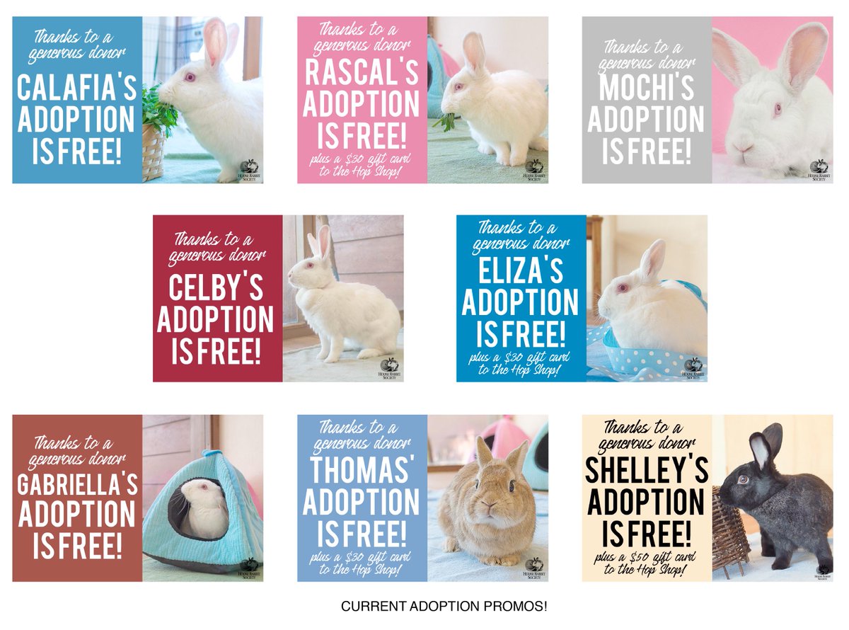 HouseRabbit's tweet photo. Not only are these rabbits' adoptions free, your adoption includes spay/neuter, health records, a gift certificate for a free local veterinary visit ($80 value), a gift certificate for a free nail trim, a year membership to House Rabbit Society!
https://t.co/88pflpKLxp https://t.co/z4GXVcJ99u