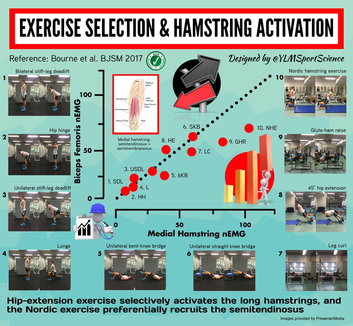 YLMSportScience's tweet photo. #New 📊 Bilateral stiff-leg deadlift, hip hinge, lunge, leg curl, nordic hamstring exercise... Understanding the impact of exercise selection on hamstring muscle activation💡 https://t.co/1a4HO0gs1E https://t.co/XUCpPng6FF