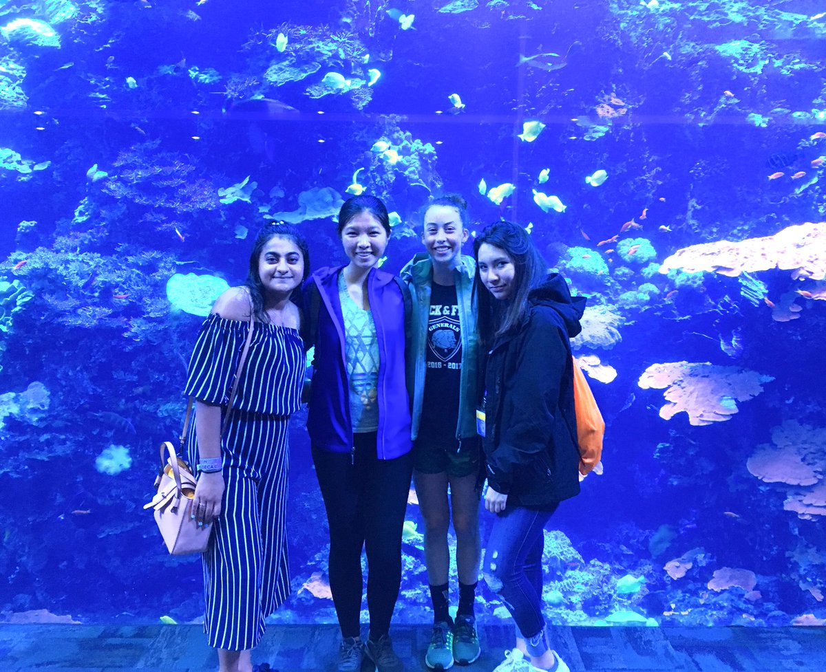 Wash-Lee HS DECA tweet media