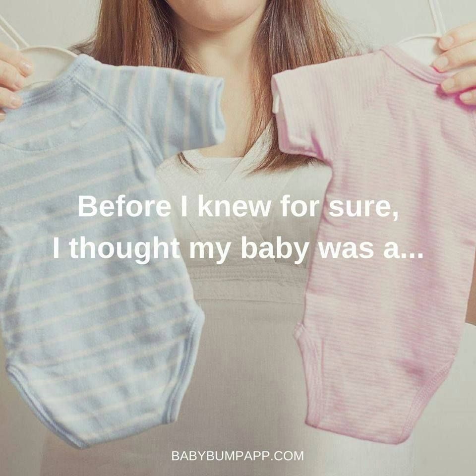 Baby Bump tweet media