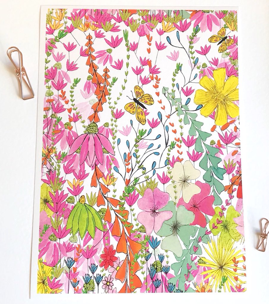 Joey Anna tweet media