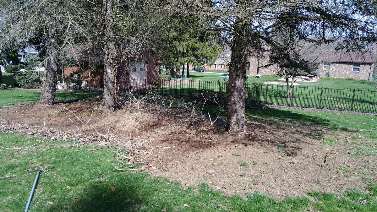 ratedrguy10's tweet image. Let the yard work begin! #SoManyProjects #TiredOfTheseWeeds