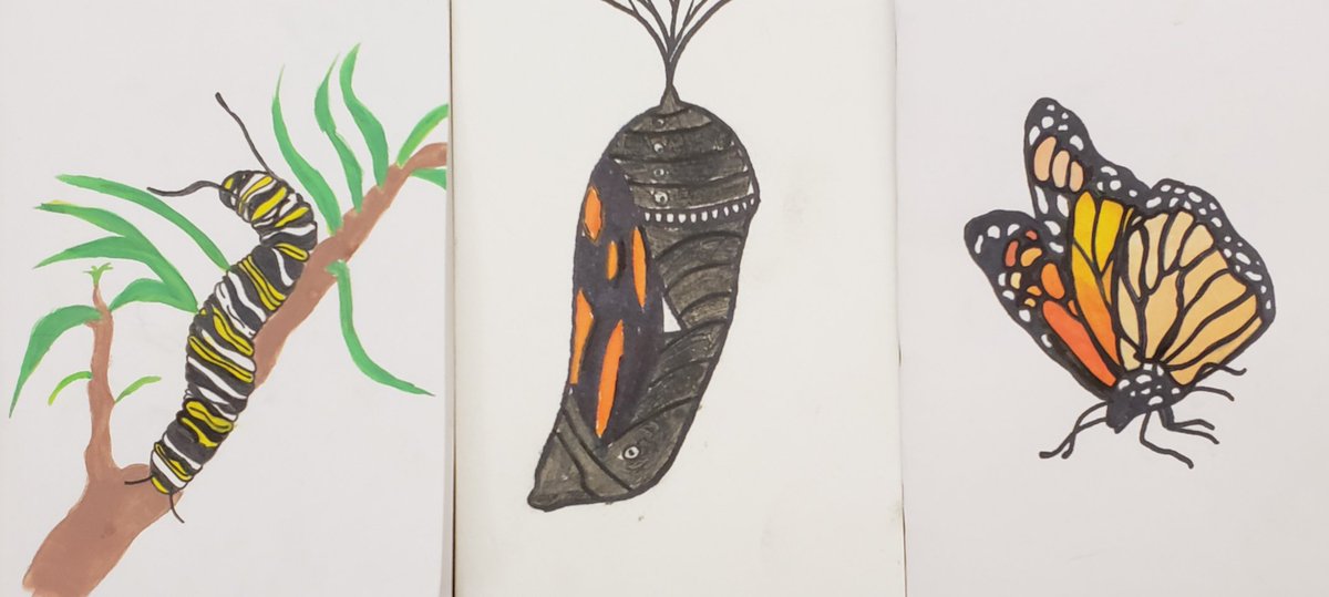 Ms. Nightingale's 7th graders have been working hard to raise awareness and save the monarch butterfly. Pics from this Saturday's MEarth Day.