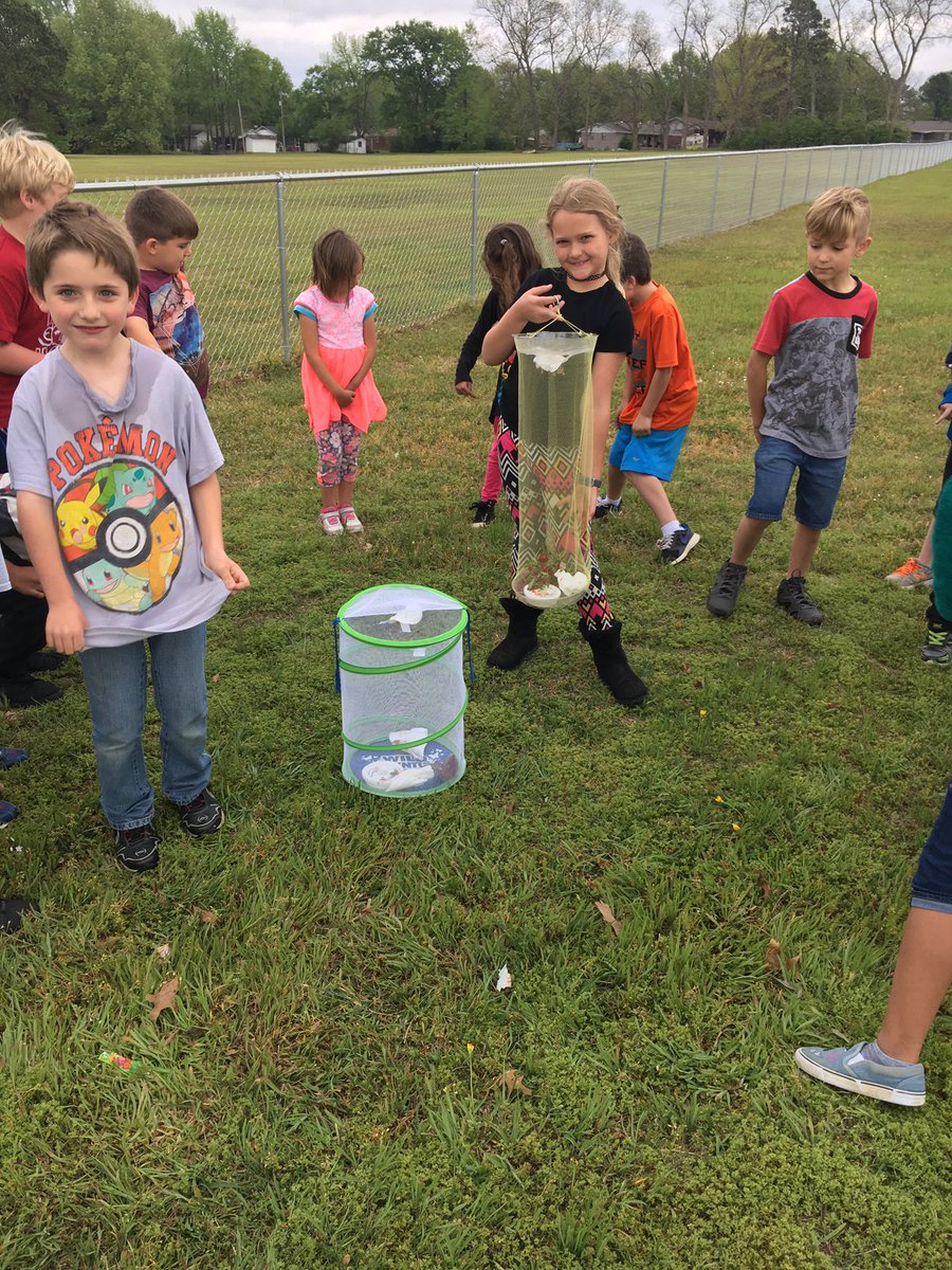 ReneeTarrant's tweet photo. It's butterfly release day! #CelebrateMonday#CEunited@CentralCabotpK4 https://t.co/XpGo4lgrMU