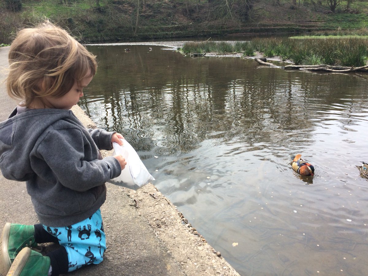 tripswithatot's tweet photo. Little day out just us two today to forge dam. Doing what we love best: play, nature, paddling, Woods, cafe. ❤️ love him &amp; love the city he’s growing up in. #sheffieldissuper #sheffkids #theoutdoorcity https://t.co/IXtQVDY5Xr