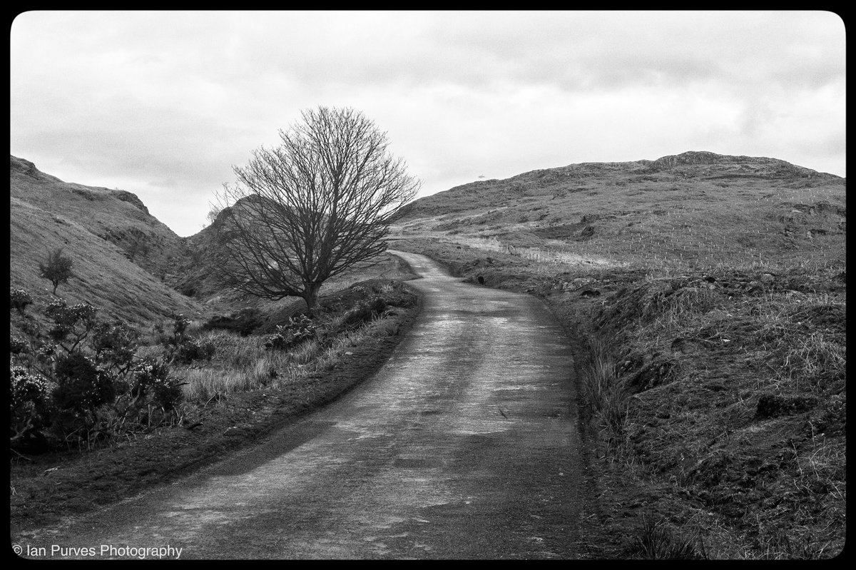 Day 113. I love the drive over Birker Fell. One of the quietest parts of the Lake District. #365photochallenge #day113 #northwestuk #cumbria #notjustlakes #LakeDistrict #mono #smartshots #iPhone7plus #iPhonephotography #birkerfell #fell #road #pass #tree #road