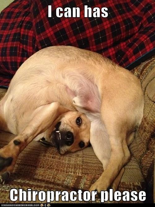 NEPDXChiro's tweet photo. If you're dogged by body pain, pay us a visit. https://t.co/99KgiaC56r