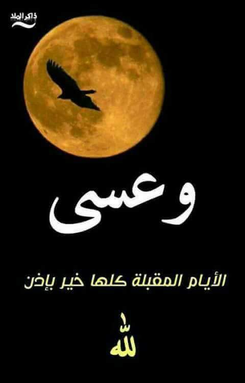 Samaa Samy (@samaasamy10) on Twitter photo 