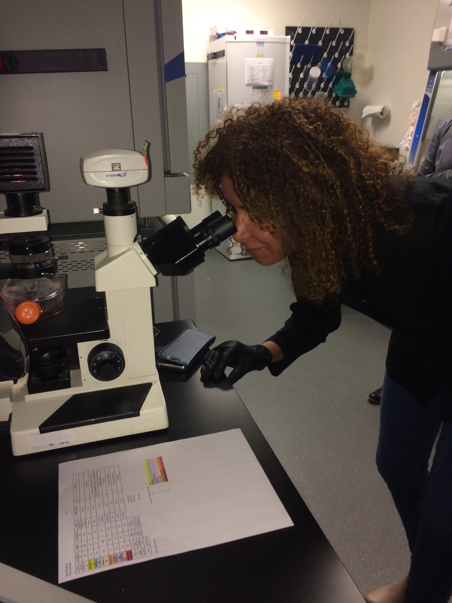 Mercaptor1's tweet photo. @YvonneMaria Schaefer, our #MercaptorDiscoveries Ambassador, came to our lab last week! She brainstormed w/ the team about our mission to beat #brain injury. Yvonne also attended and networked @1HitAway Dinner &amp; Auction. #neuroscience #MondayMotivation #CTE #TBI #concussion #STEM https://t.co/sNyyjVQf46