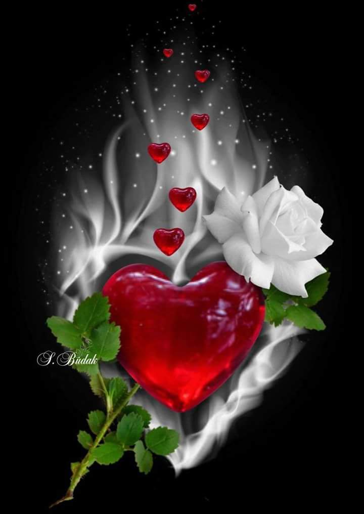من يجعلك عابرا في حياته 
لا تجعله مقيما في قلبك ❤