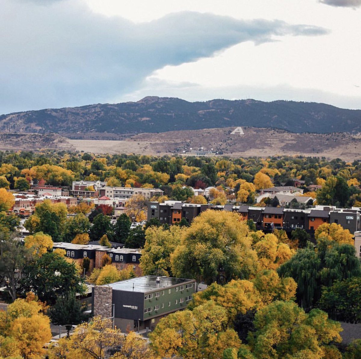 emmyfoxall's tweet photo. I am excited to announce that I have decided to attend Colorado State University in the fall and major in business! Go Rams! 🐏 https://t.co/m6HQAKV139