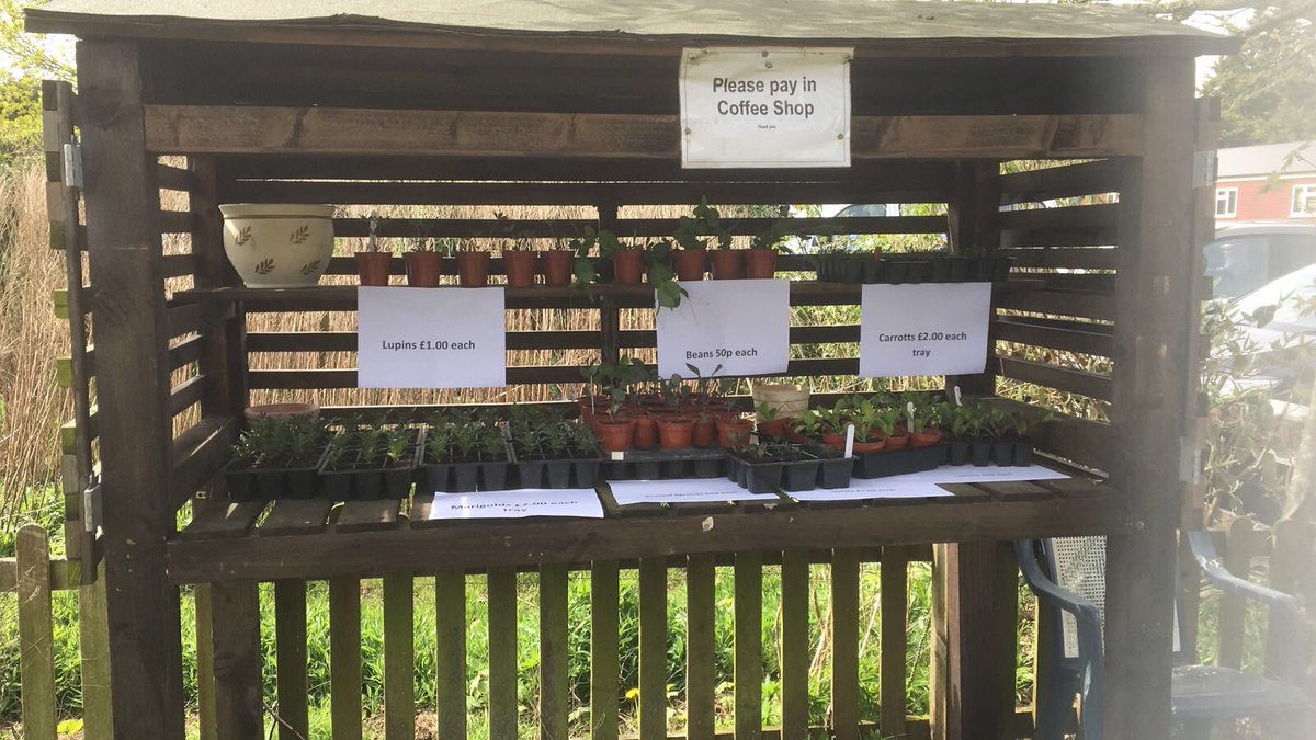Exciting announcement!! The gardening sessions are now selling their plants, they can be found outside the Coffee Shop. Lupins, carrots, brussel sprouts, marigolds and more. Head on down tomorrow to get some before they go. Well Done Team Acorn!! #MondayMotivation