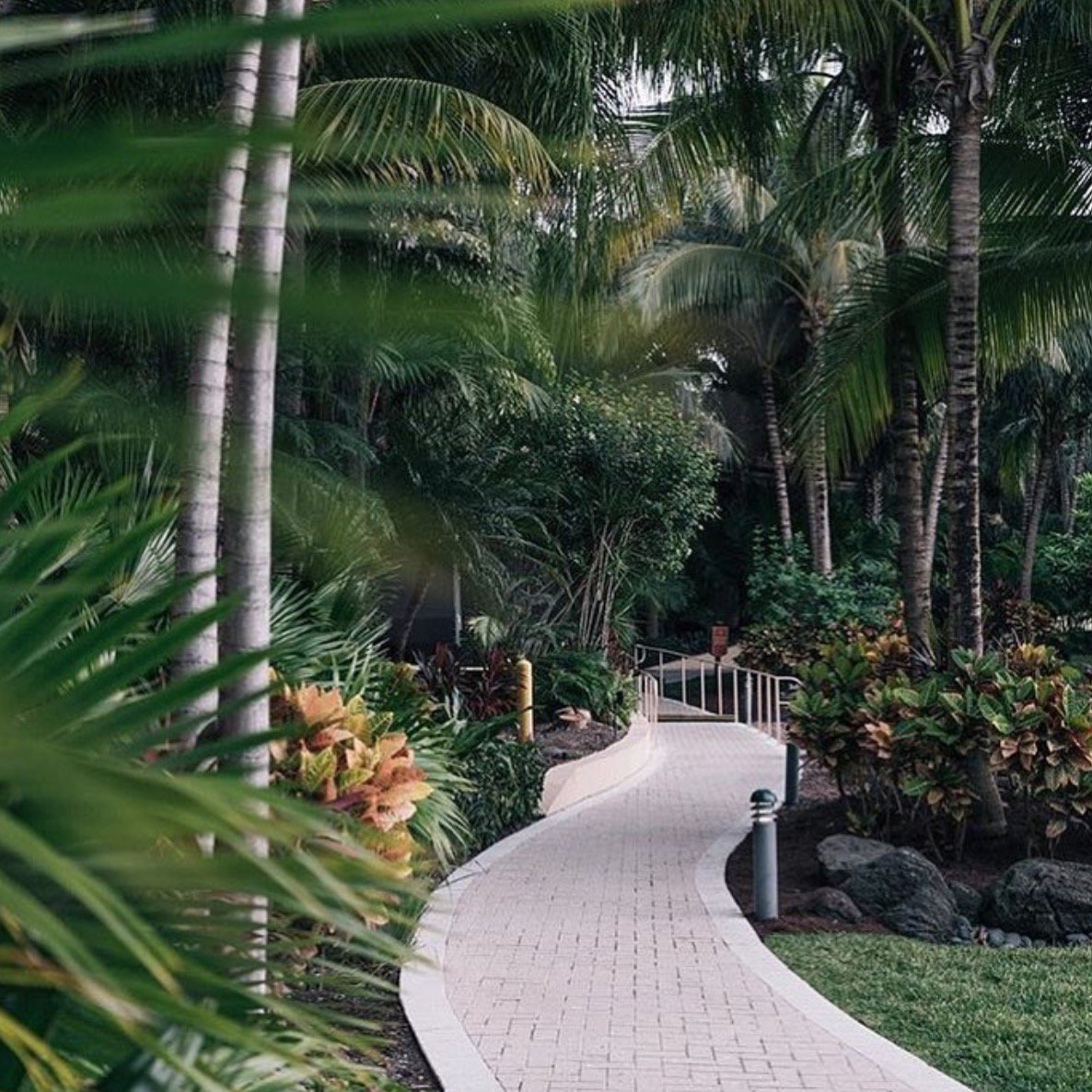 turnberryocean's tweet photo. Nature walks at Turnberry Isle. #turnberrylife https://t.co/aVZfqUlt6H