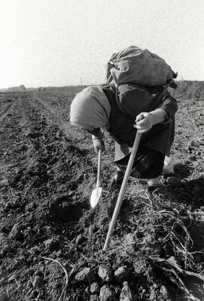 museumMOC's tweet photo. On April 21 the @museumMOC has opened an exhibition of the photo of Yury Imkhanitsky in Kolomna - and the first day #MuseumWeek2018 – a female portrait - #WomenMW, devotes to "The Kolomna 
grandmothers". #MuseumWeek https://t.co/DZGvX0Qxkq