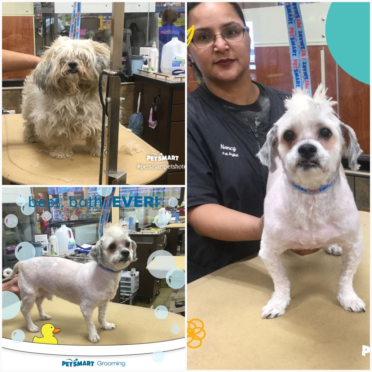 JSimiriglio's tweet photo. Nancy Davila 
Store #0573 #SNJ #northeastgrooming 
Extreme Makeover https://t.co/XEC92FglZb