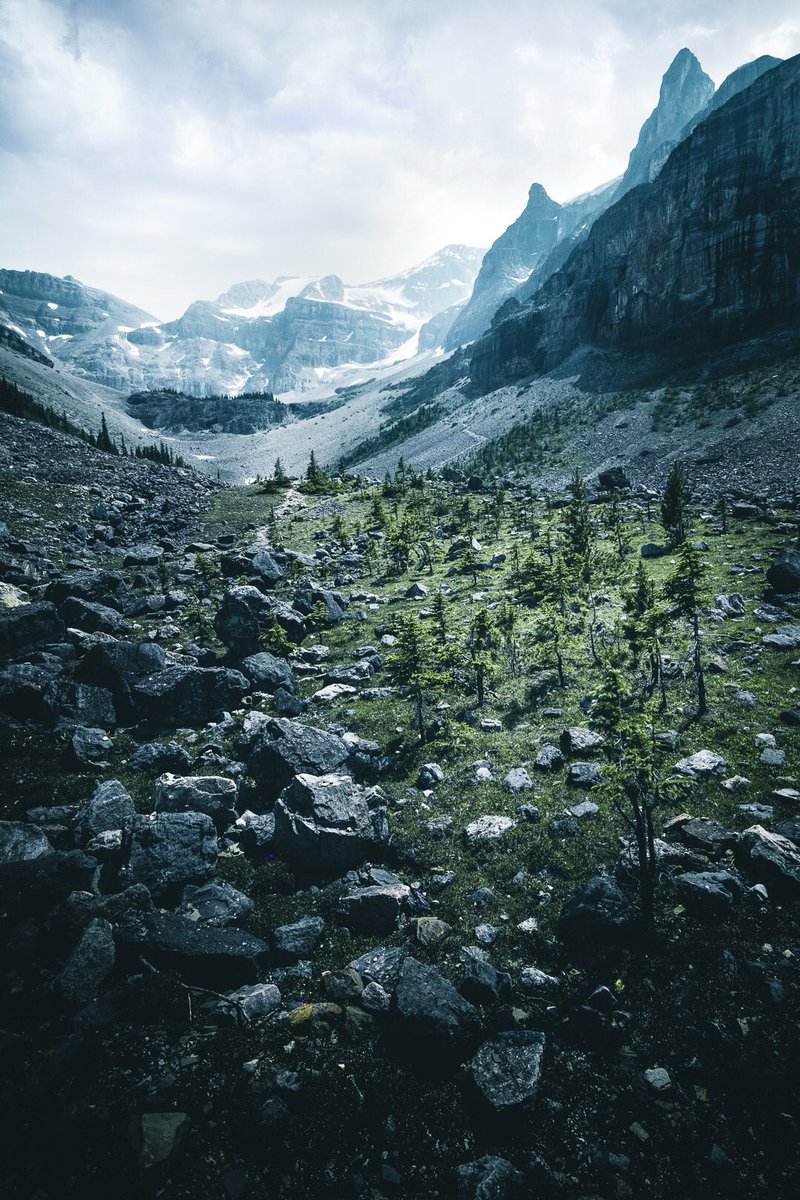 mk4d4m's tweet photo. We must take adventures in order to know where we truly belong. #beautifulbc #ExploreCanada #exploreBC #parkscanada #NationalParks #hiking https://t.co/yHplYhKAKg