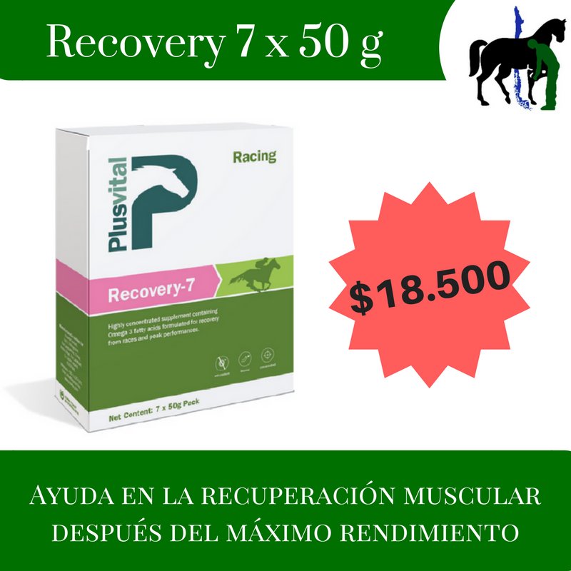 LosPingosLtda's tweet photo. PlusVital Recovery-7 está diseñado para proporcionar una amplia gama de #antioxidantes, #vitaminas, #ácidosgrasos omega-3 y #aminoácidos (incluyendo BCAA) para apoyar al #caballo en los 7 días antes o después de una #carrera o durante períodos de #ejercicio intenso 🐎🏇👈🐴 https://t.co/KqFyNQYHRa