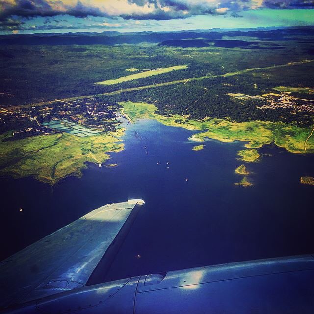 #WoWZimbabwe tweet media