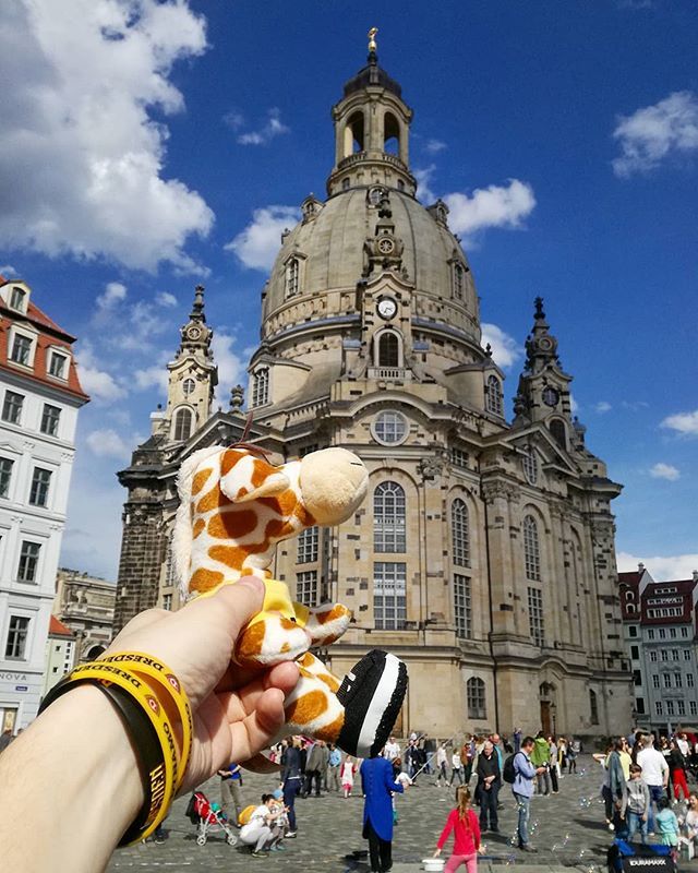 PlushFriendsCZ's tweet photo. #followmeto Namo with Frauenkirche in Dresden 😊 Have you ever been to Dresden? 😊 How did you like the city? ☺ #zirafa #giraffe #namo #plushnamo #sgdynamodresden #dynamodresden #sgd1953 #dynamo #dresden #drazdany #plysak #plysaci #plushfriends #stuffe… https://t.co/MdBIhfbrDh https://t.co/RiIu6XcW0R
