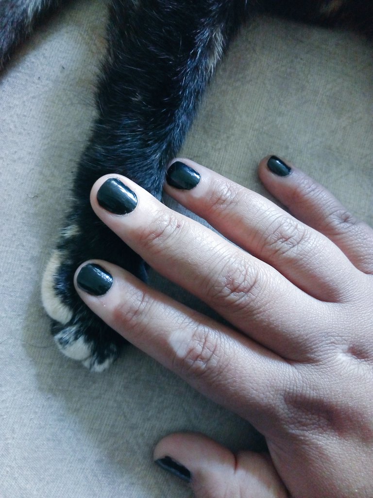 DerianAmel's tweet photo. Cuando me doy cuenta de  que ambas tenemos los dedos pintos lol 😜😜😝😆
#vitiligo https://t.co/YUj1qsZpMw