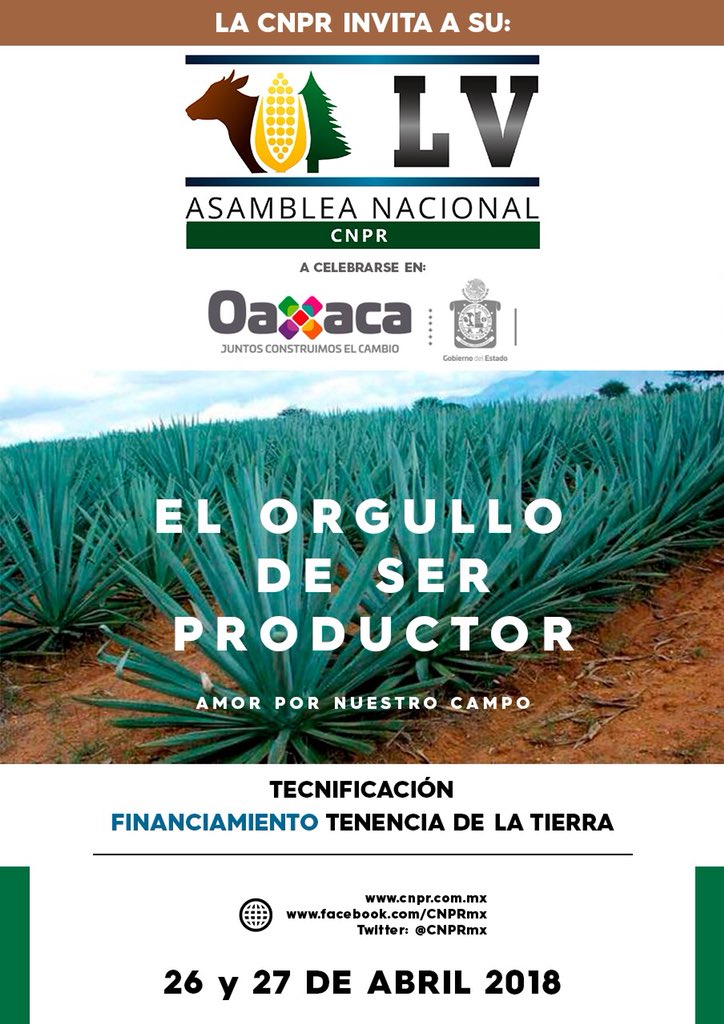 Lalo Orihuela tweet media