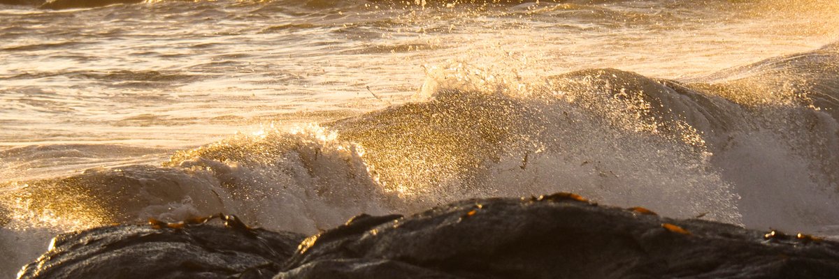 Firenze_1's tweet photo. Vagues à lame : Grandes marées du soir la semaine dernière à #Pendruc #trevignon #trégung #Finistère https://t.co/twYrBWRlNB