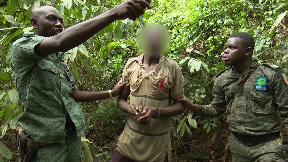 RTIOfficiel's tweet image. En 60 ans le pays a perdu 80% de ses forêts. #52mnpourComprendre vous emmène en zone verte à la @sodeforci - Société de développement des Forêts. Comment la #Sodefor lutte contre l&apos;orpaillage clandestin, la déforestation? C&apos;est ce Jeudi 26 Avril 2018 à 20h50 sur RTI1 et RTIMOBILE