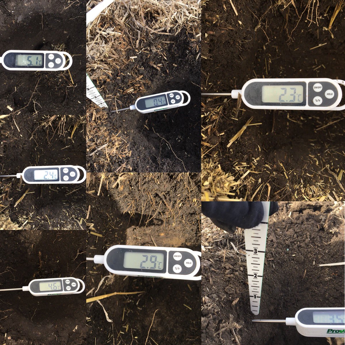 Shelby_LaRose01's tweet photo. 100km. 7 fields. 2 hours. These are the soil temps I collected at a 1 inch depth. The average temperature is 3.0C. Won’t be seeding tomorrow but #plant18 is a couple weeks away! #westcdnag #saskag #CPS https://t.co/etmD2RQjU4