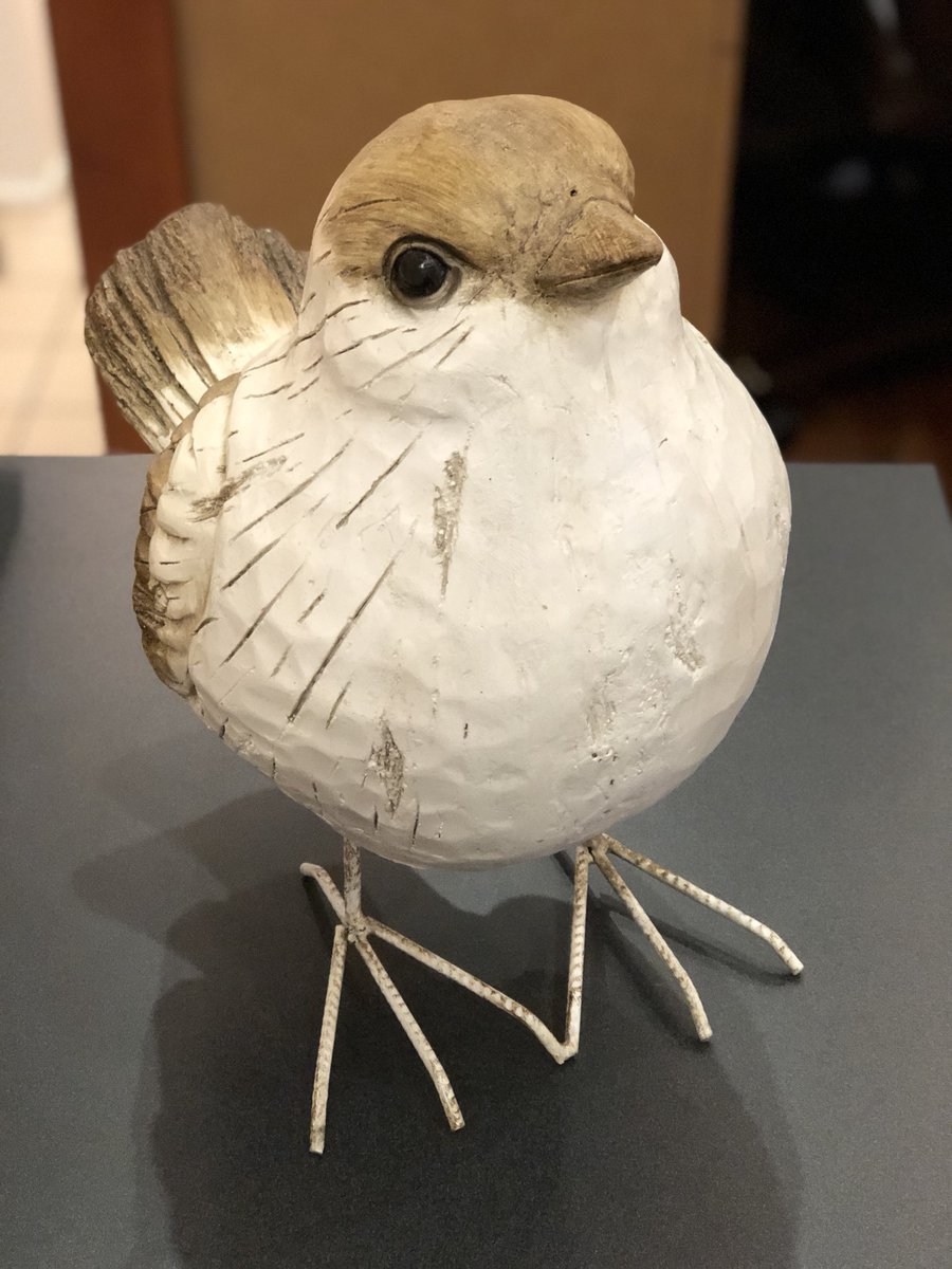 Got a new headshot taken. What do you think, tweeps? #JFBCbirds #tweettweet