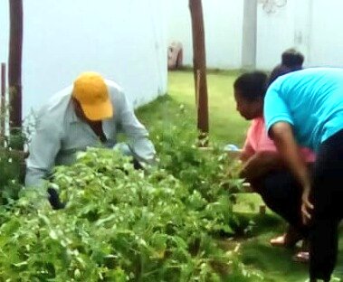 Fercho_Cruz90's tweet photo. #GranMingaAgropecuaria | Equipo técnico #PITTPA realiza fortalecimiento a huertos familiares de Centros Integrales del Buen Vivir, en la parroquia Palestina del cantón Rioverde. #SomosMAG https://t.co/B7E9Xv6d2C