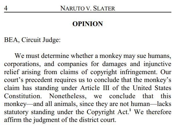 jonsteingart's tweet image. Sorry monkeys, you can't sue over your #MonkeySelfie cdn.ca9.uscourts.gov/datastore/opin…