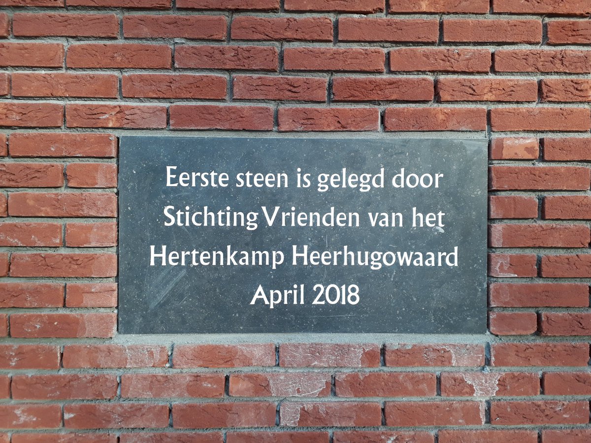 Vanavond is de eerste steen van het dierenverblijf in het hertenkamp onthuld!