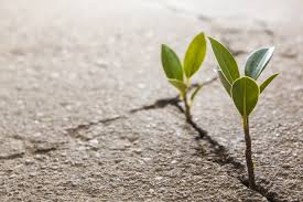 aprilRsilver's tweet photo. #NoteToSelf on Perseverance: Trust in your DOING more than you trust your KNOWING. Lean less on your own understanding and rely more on the wisdom of God. Dis-empower every fear so that your immortal self can orchestrate all the breakthroughs you desire. #ARS50 #IveGotLife https://t.co/SMGUps88wk