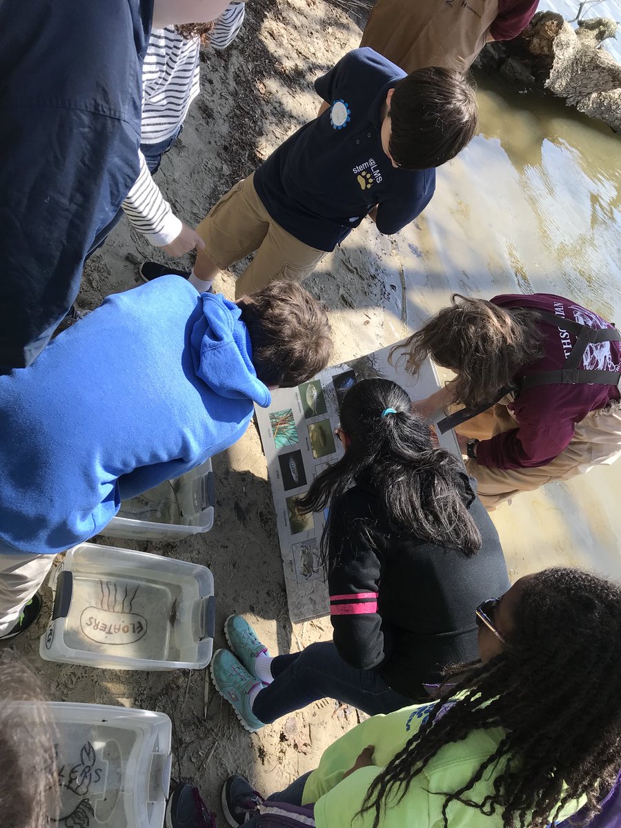 STEM_at_LMS's tweet photo. 6th grade STEM students venture to SERC to investigate our ecosystem! Thank you volunteers, parents, and teachers! #AACPSawesome https://t.co/nCt2qYSD5Z