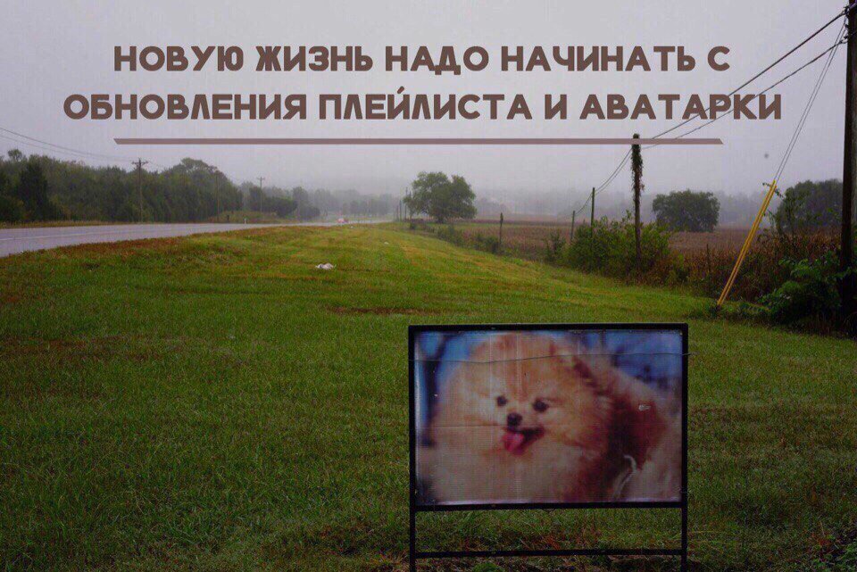 RandomFunRus's tweet image. 