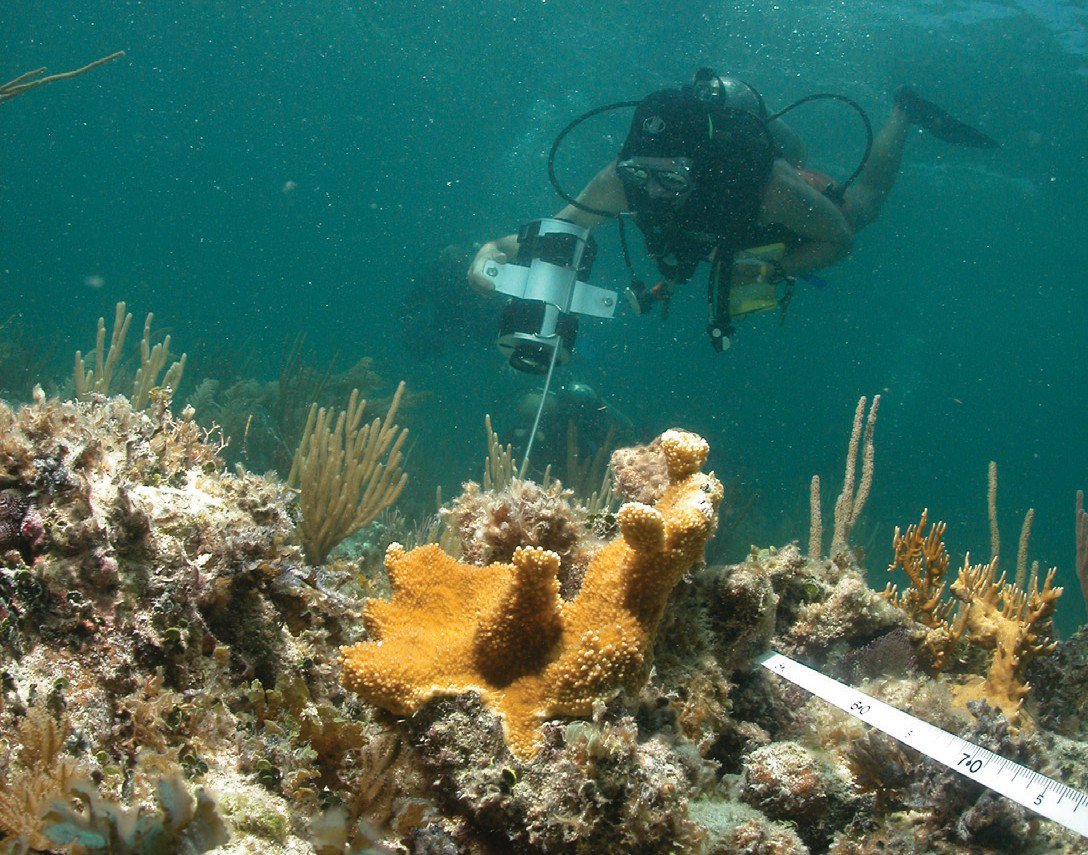 DOICareers's tweet photo. #JoinDOITeam and work on a vegetation map of Everglades National Park and Big Cypress National Preserve! #Nowhiring Biological Science Technician in Palmetto, #Florida @NatlParkService, Apply➡️https://t.co/j6cMopsTRl #BiologistJobs #ScientistJobs
📸@NatlParkService https://t.co/ykuFXHxRWJ