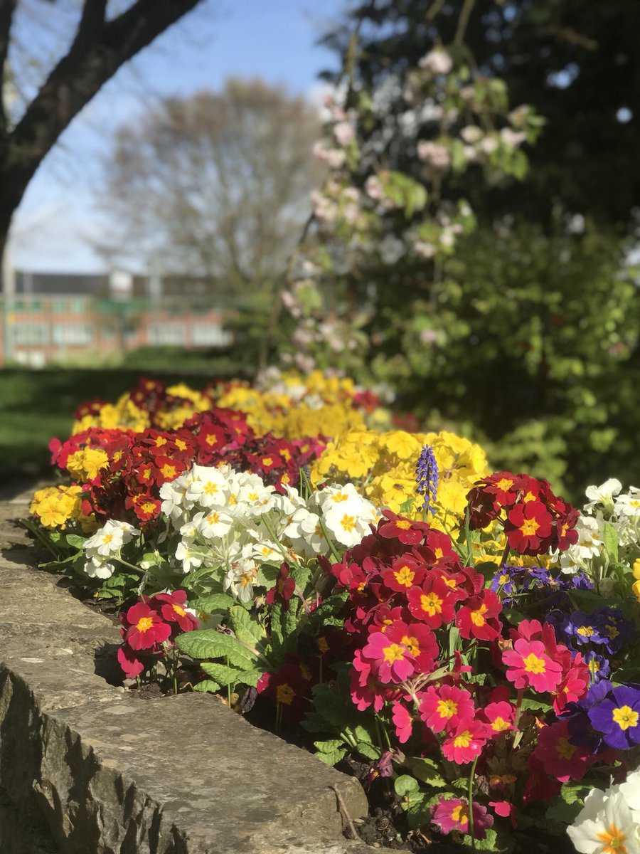 Falcigno11's tweet photo. Spring finally brought some sun. 🇮🇪☘️ https://t.co/wAZ8Ca7dAS