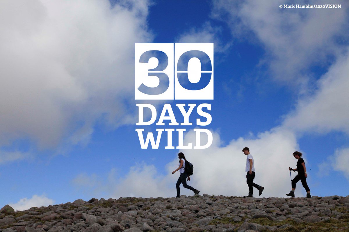 Go wild this June! Join us for #30DaysWild and do one thing each day to enjoy the natural world - go for a walk at lunch or plant some wildflower seeds! Sign up to join us! bit.ly/2qhYJYo #DorsetHour