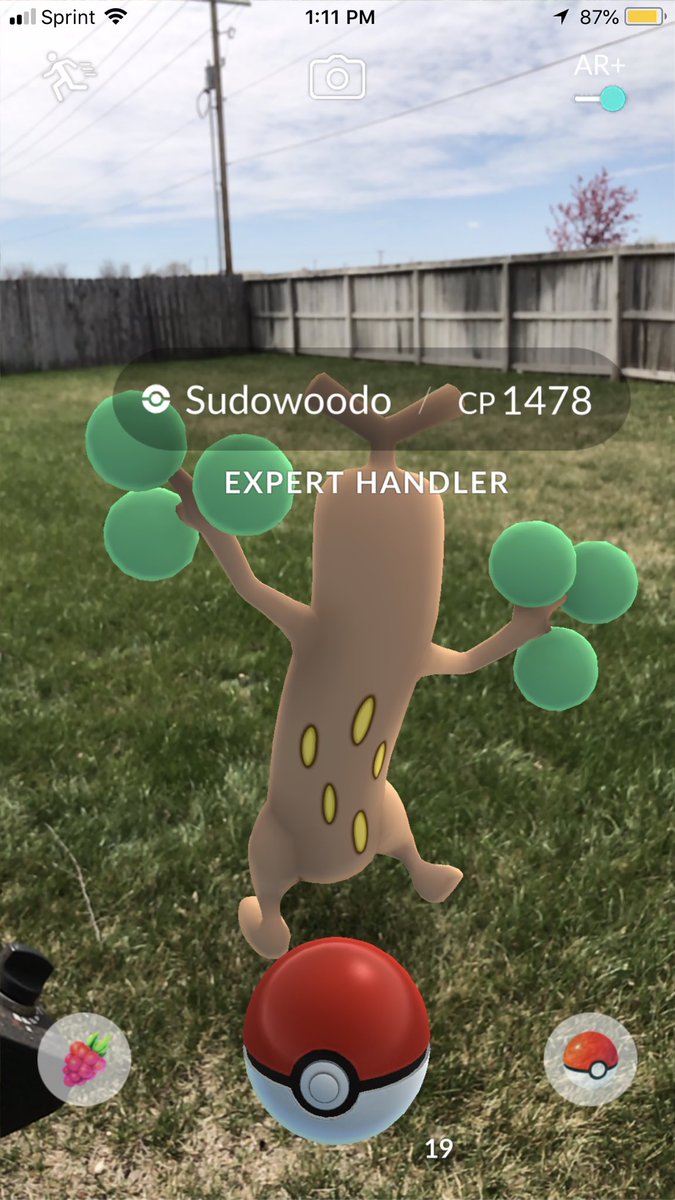 sara_snacks's tweet image. Caught with a crappy throw. I hate the ball-tree. #ExpertHandler