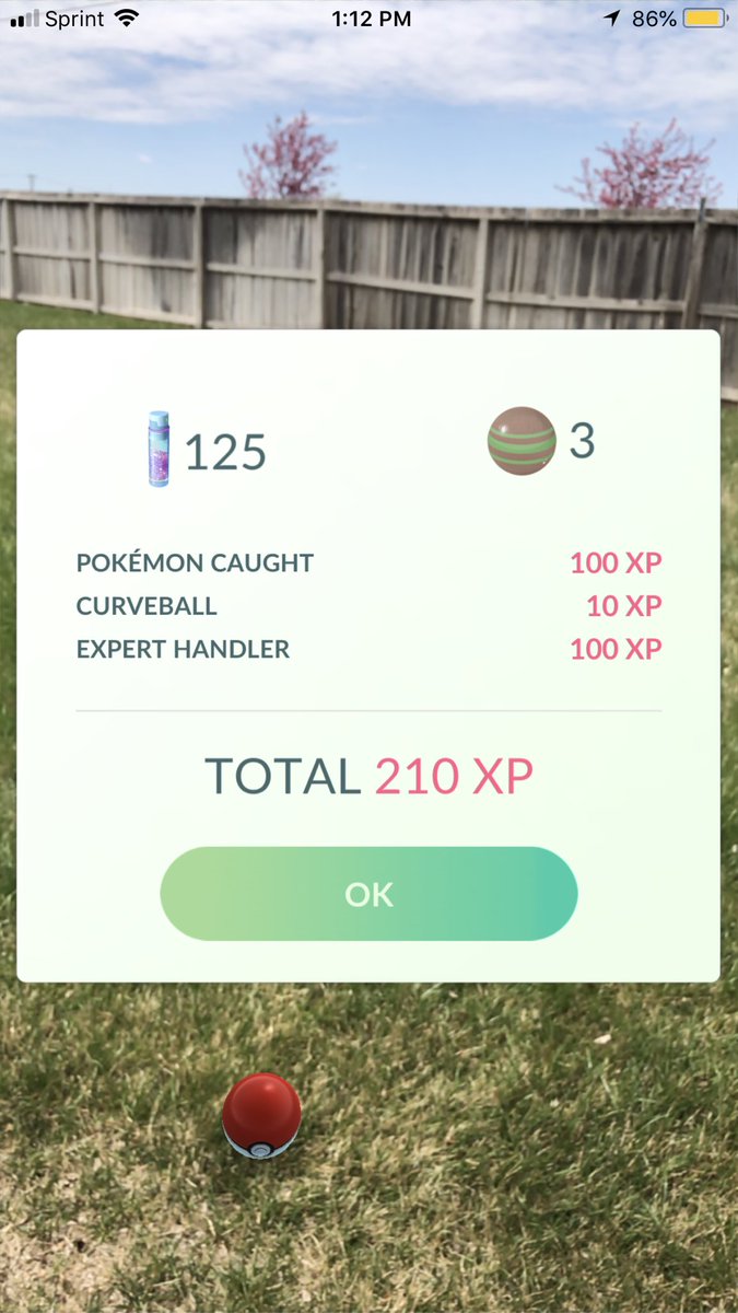 sara_snacks's tweet image. Caught with a crappy throw. I hate the ball-tree. #ExpertHandler