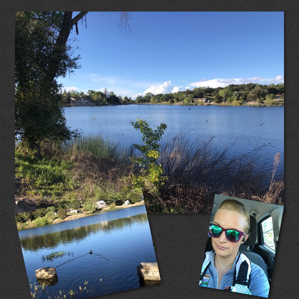 SlackerRunner's tweet photo. Big Sur Marathon Training-Week 16- New Post! #trainingrecap #bigsurmarathon @bsimevents #bsimbr #bibchat https://t.co/xe3AvzEUvk https://t.co/9sQBlIpl5s