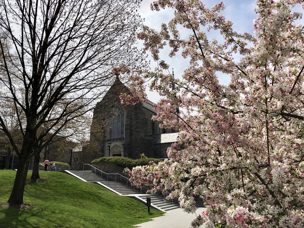 LowryJen's tweet photo. A glorious spring day on @LoyolaMaryland’s Evergreen Campus https://t.co/ZsCRGXXQU1