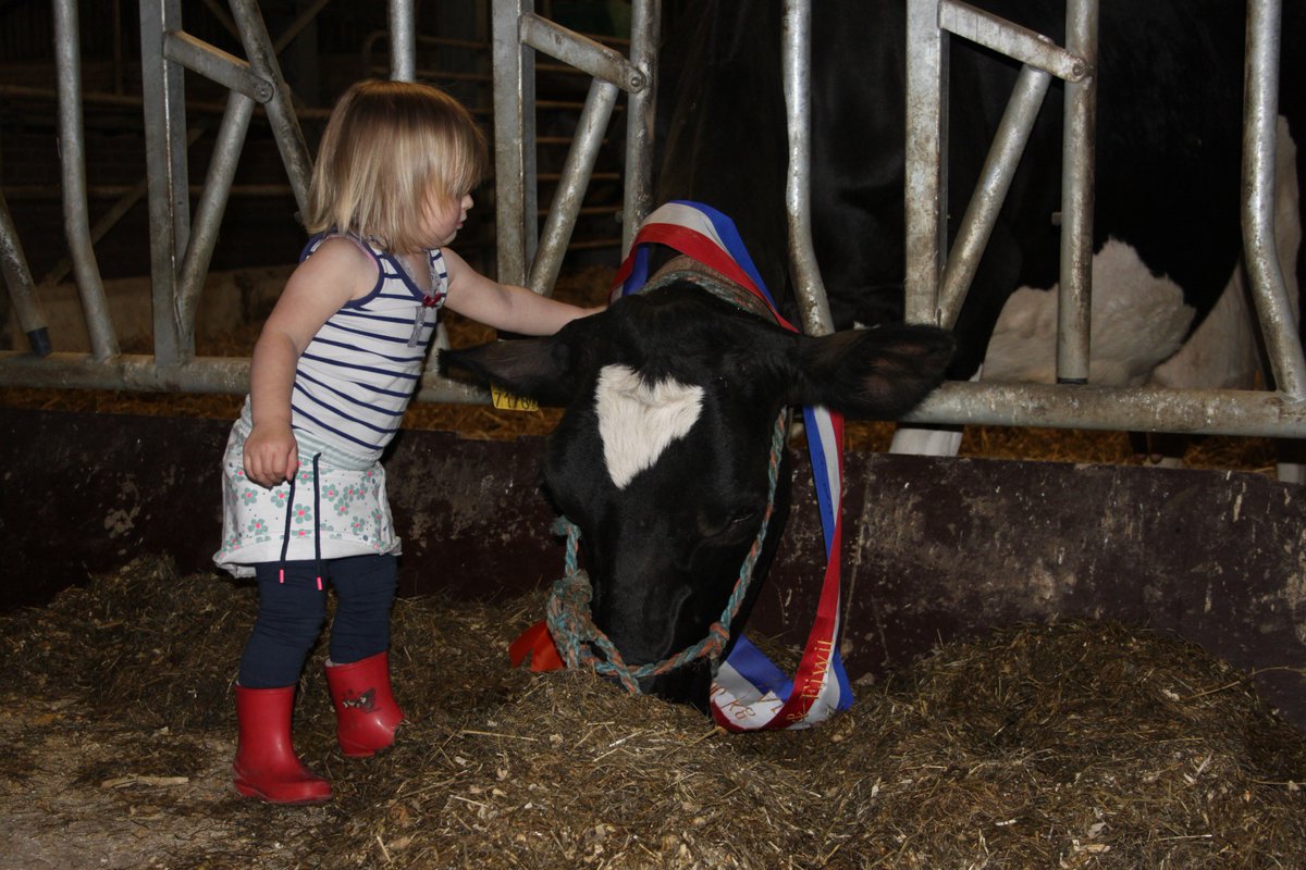 Esther Ellen tweet media