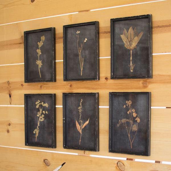 ModernFarmhouss's tweet photo. Set Of Six Botanical Prints Under Glass 
$198

https://t.co/nzGFKaklbU #botanical #farmhouse #snapdragon #rustic #home #homedecorideas #MondayMotivation https://t.co/pfThyjwgh9