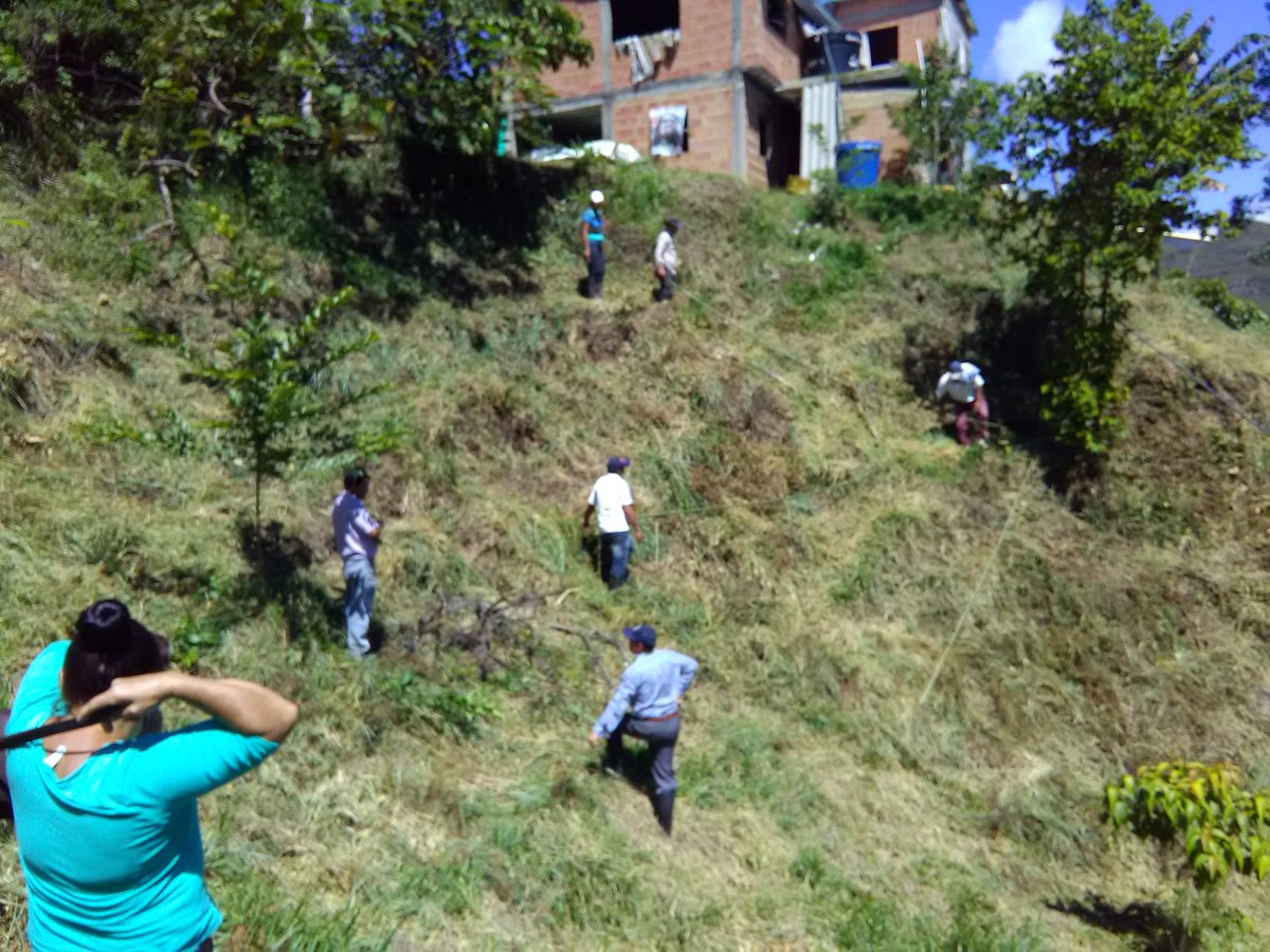 oscarandresnar2's tweet photo. Práctica de trazo para cultivo de aguacate vereda las Mercedes Paime Cundinamarca programa #SER #SENAVILLETA https://t.co/ABG5guQnEb
