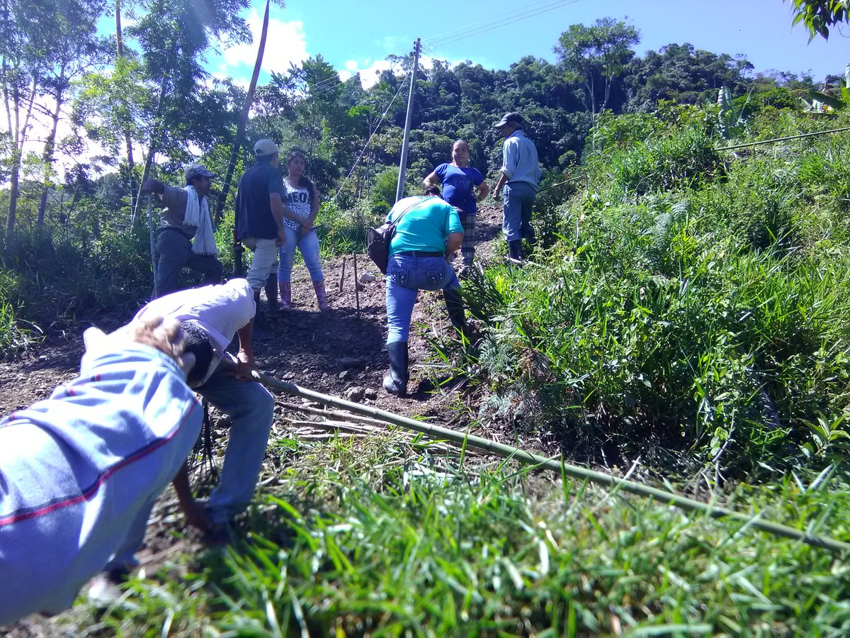 oscarandresnar2's tweet photo. Práctica de trazo para cultivo de aguacate vereda las Mercedes Paime Cundinamarca programa #SER #SENAVILLETA https://t.co/ABG5guQnEb