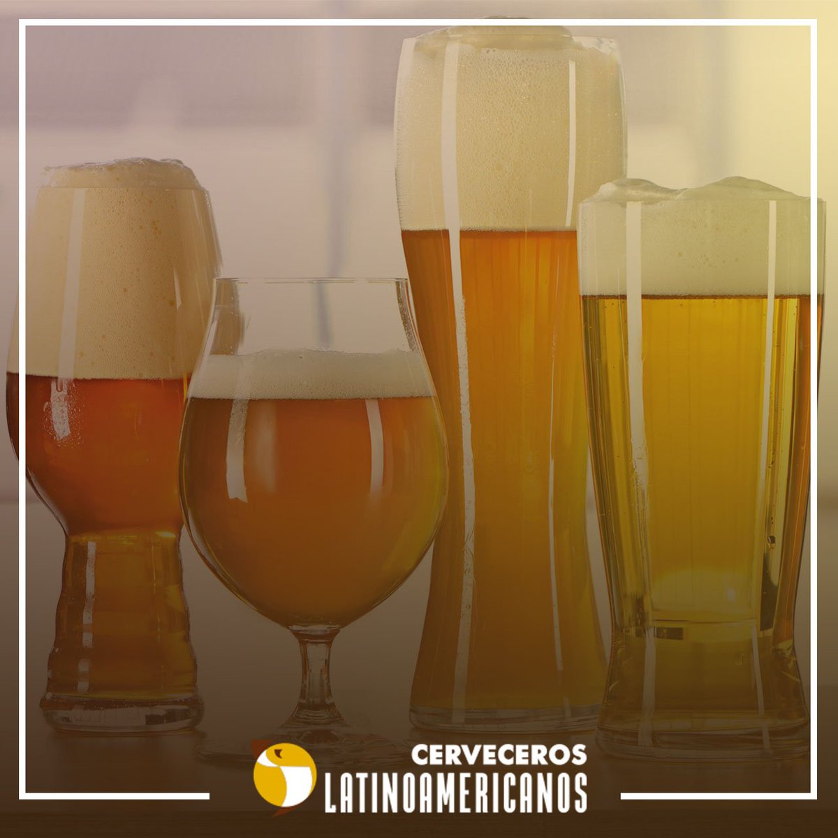 Bienvenido a este canal de comunicación donde la Cerveza será la reina, conversaremos de su situación en Latinoamérica, de su relación con el medio ambiente y del consumo responsable.
