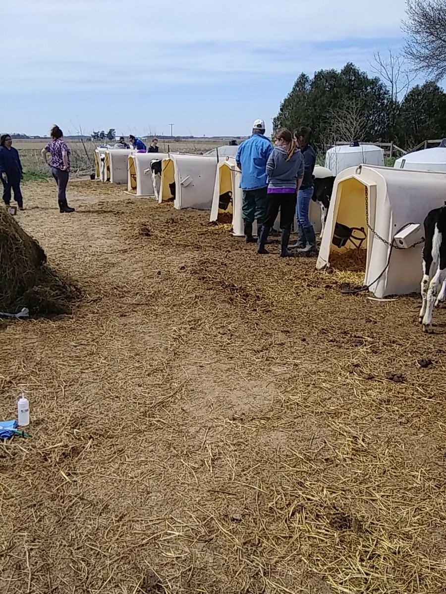 MCC vet tech students doing requirements