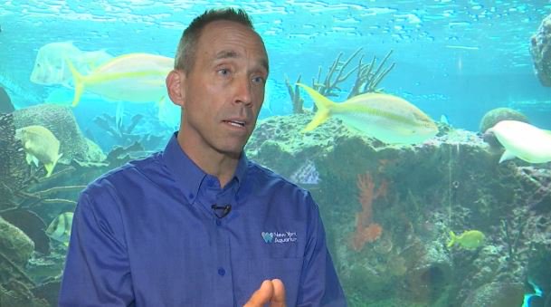 kiernanc's tweet photo. "By the year 2050 there will be more plastic by weight in the oceans than there will be fish" John Forrest Dohlin, VP @theWCS and Director @nyaquarium, speaks to @ReutersBiz on #GiveASip campaign to eliminate single use plastic straws https://t.co/BuyYegF6FE